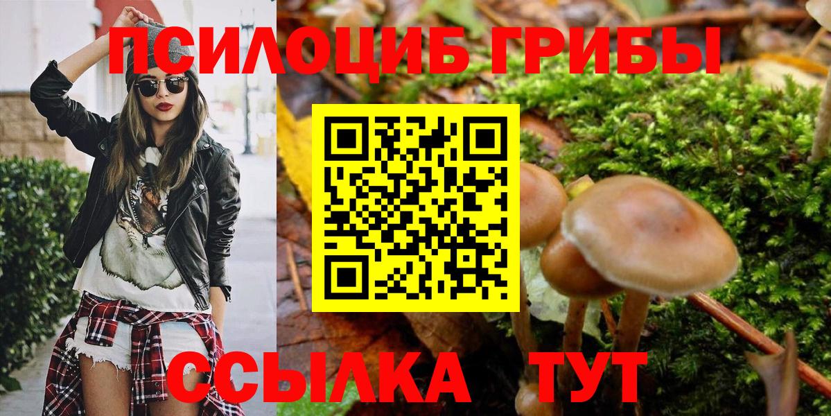 Гусев  Псилоцибиновые грибы GOLDEN TEACHER  Псилоцибиновые грибы GOLDEN TEACHER  Вход с VPN 